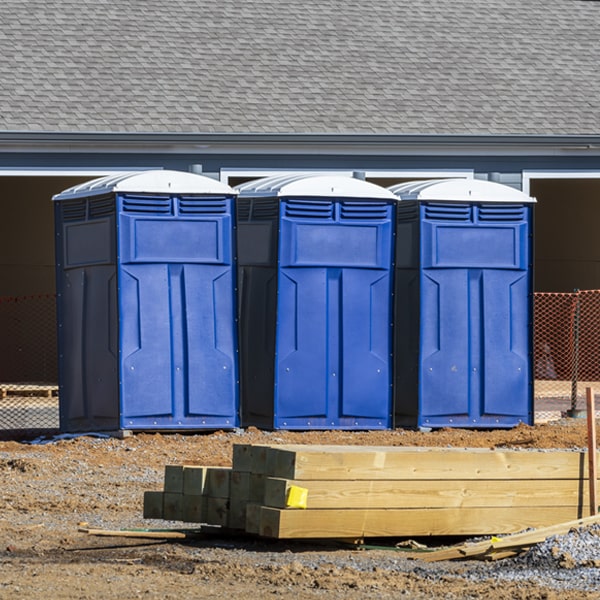 are there different sizes of portable toilets available for rent in Wide Ruins